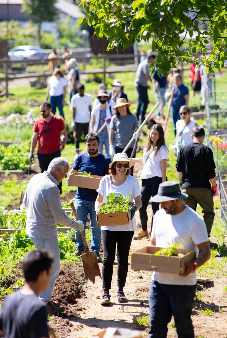 Community participation